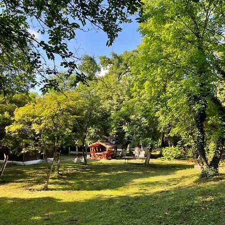 Edes Alom Nyiregyhaza-sosto Campsite
